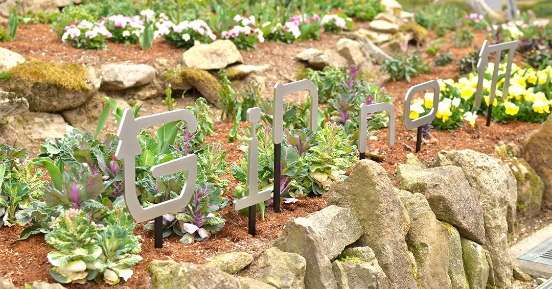 フォトスポット📷