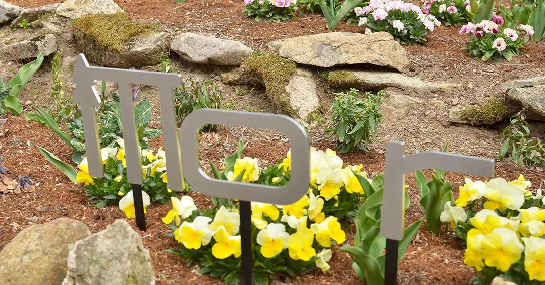 フォトスポット📷