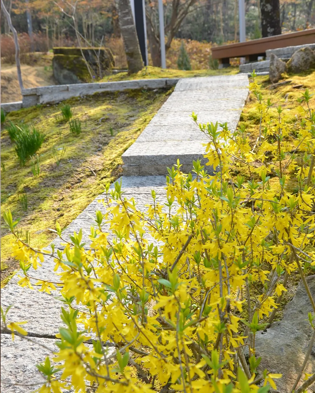 今日から新年度🌸