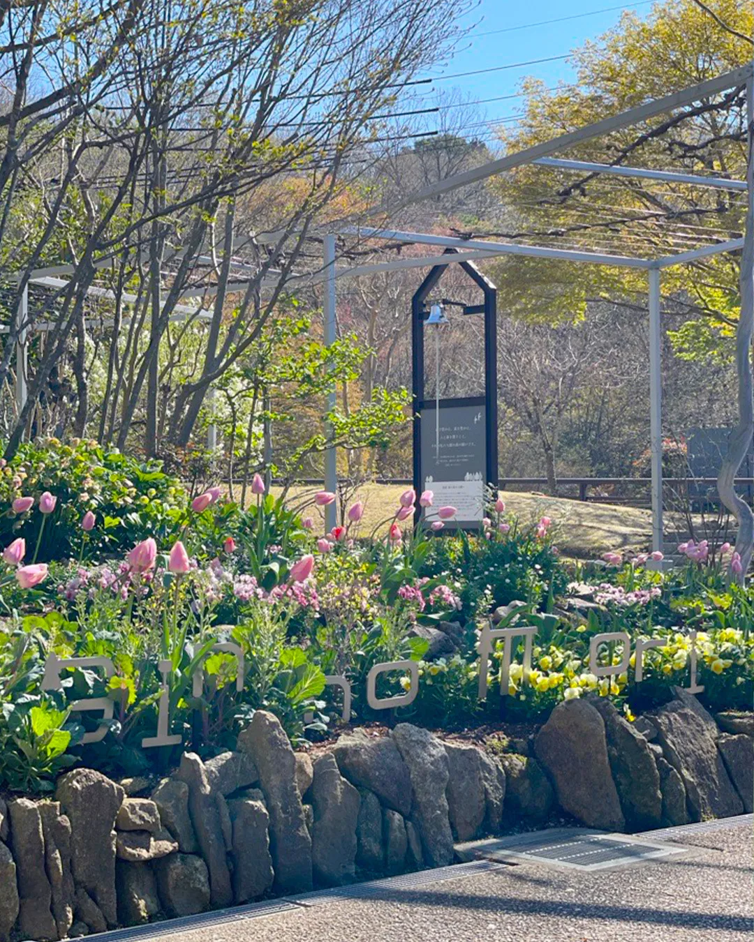 春の花々が見ごろです♬