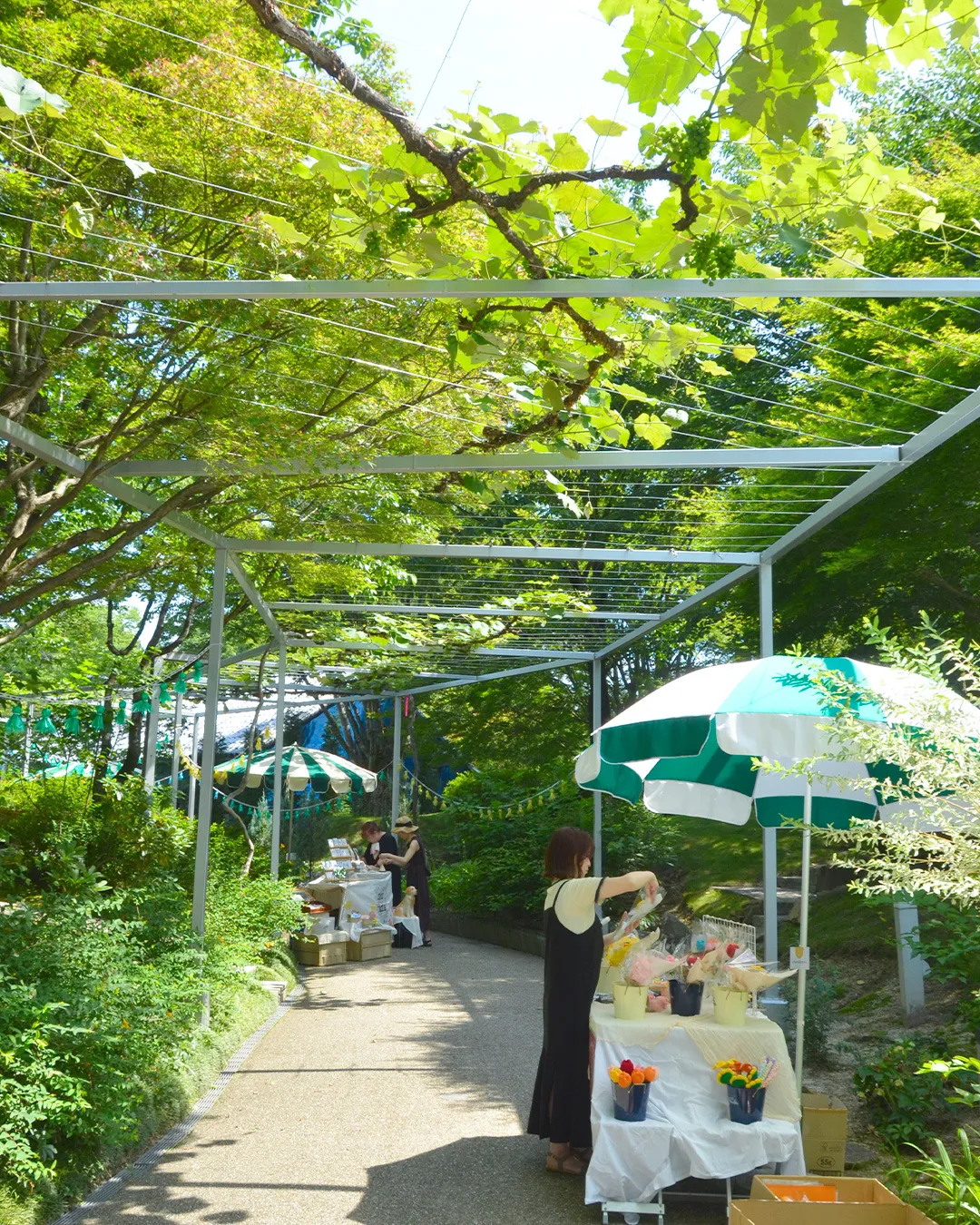 パラソルマーケット2026⛱