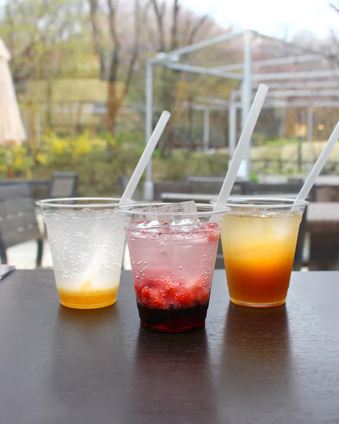 GWイベント│おすすめグルメ🍽