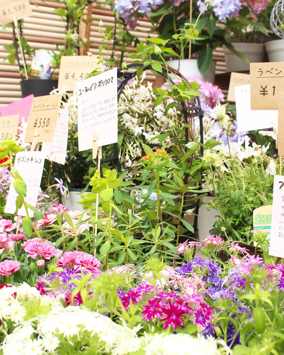 出張花屋さん、開店中🌼