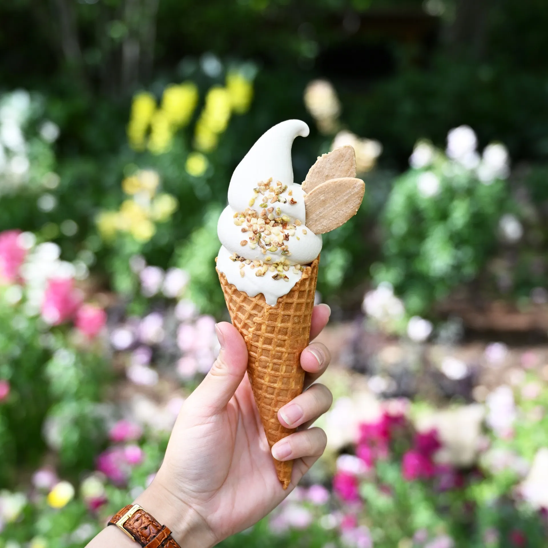 どんぐりソフト<br>濃厚なミルクと香ばしいどんぐりの風味のソフトクリームです。<br>カフェオレのような味わいでお子様から大人の方まで美味しくお召し上がりいただけます。<br>※写真はトッピングあり。