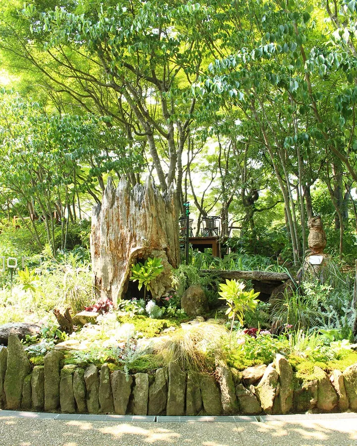 恵那農高コラボ花壇🌼