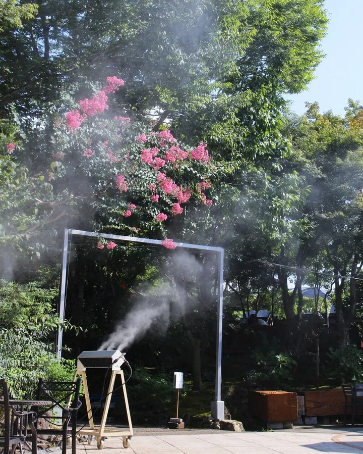 木陰でいやしのひとときを🌿