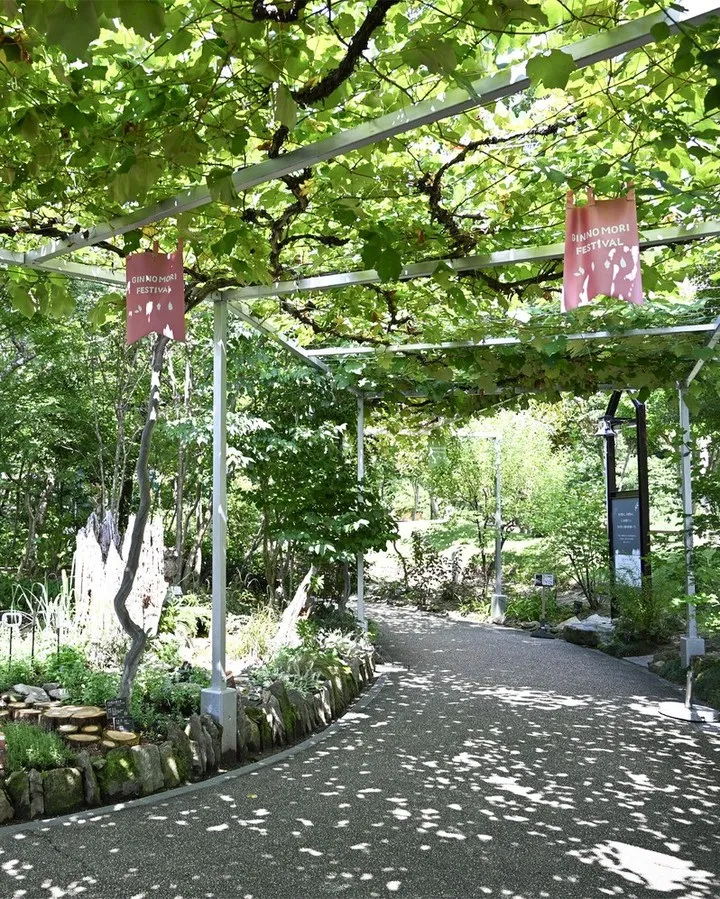 木陰でいやしのひとときを🌿