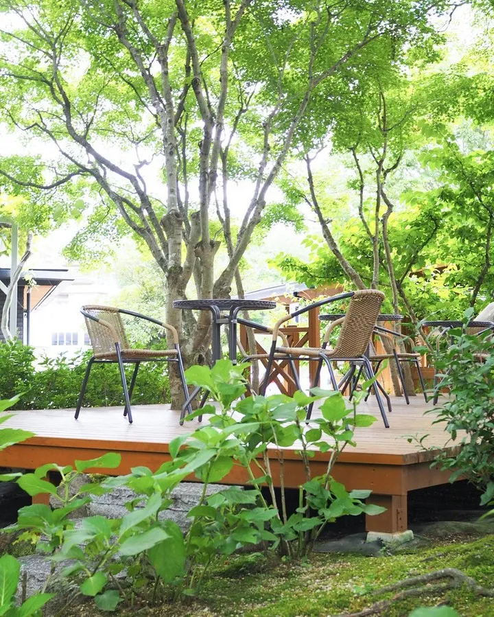 木陰でいやしのひとときを🌿