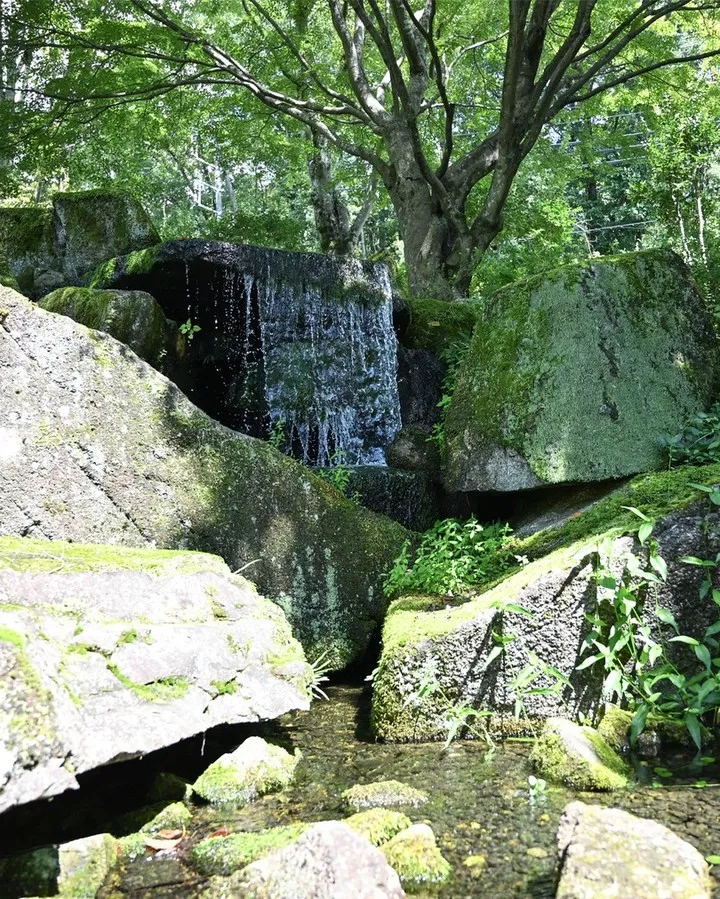 木陰でいやしのひとときを🌿