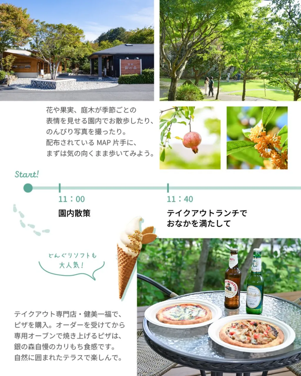銀の森で過ごす、のんびり時間🌳