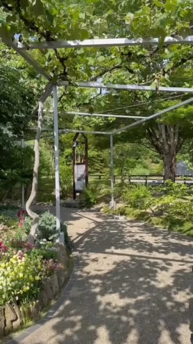 初夏の銀の森